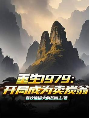 重生1979