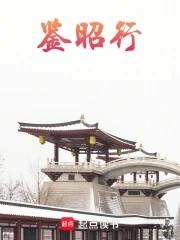 鉴昭行陆淮结局